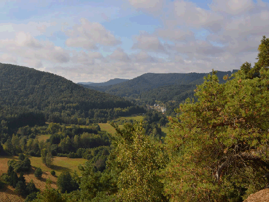 Wanderung Rimbachsteig 2016